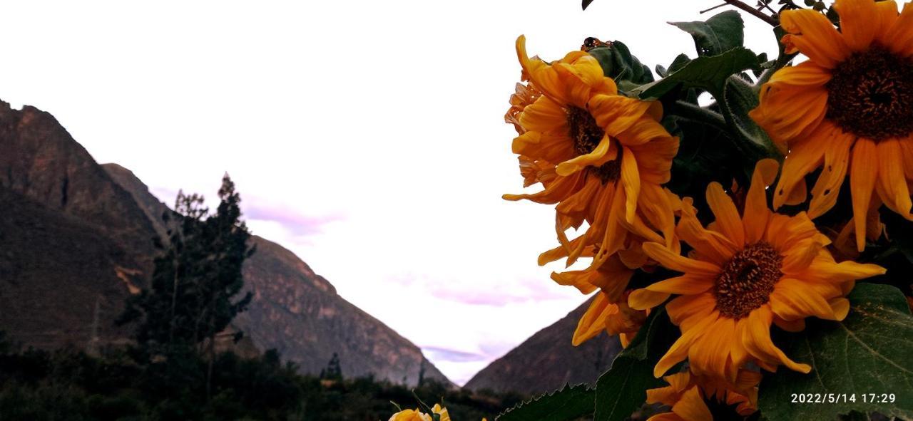 El Sol De Oro