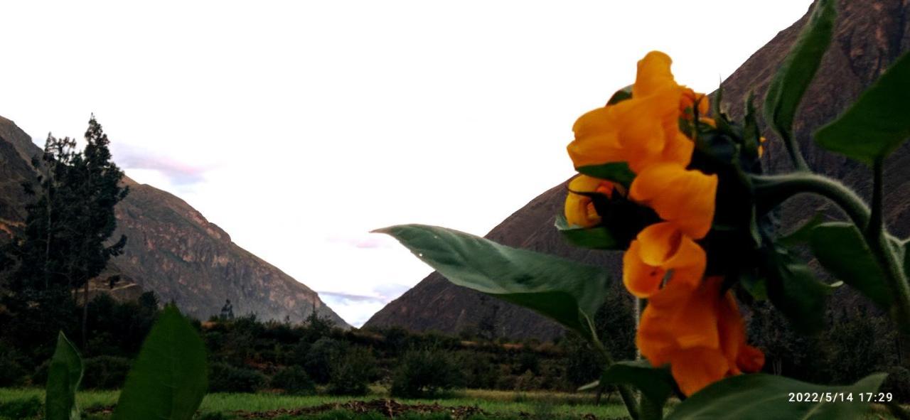 El Sol De Oro Hotel Ollantaytambo