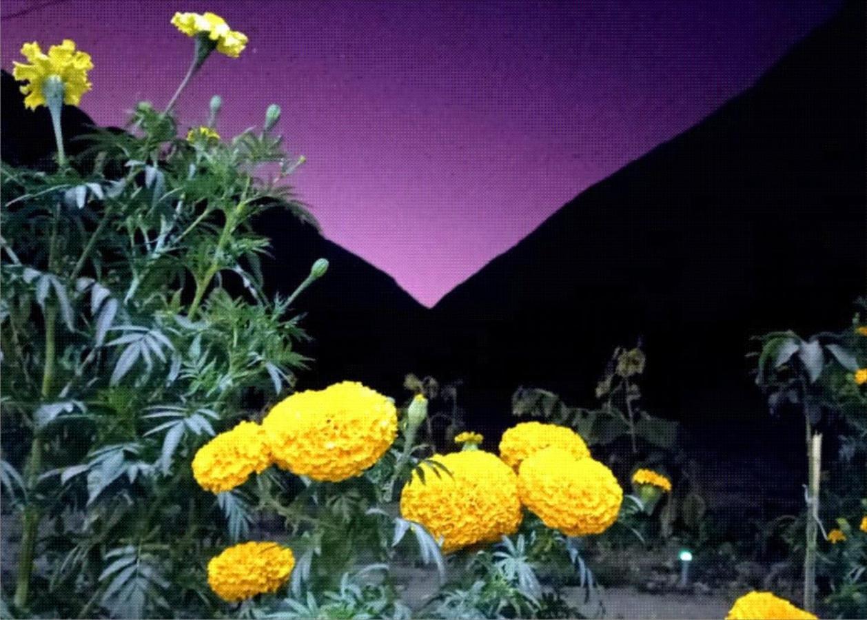 Hotel El Sol De Oro Ollantaytambo